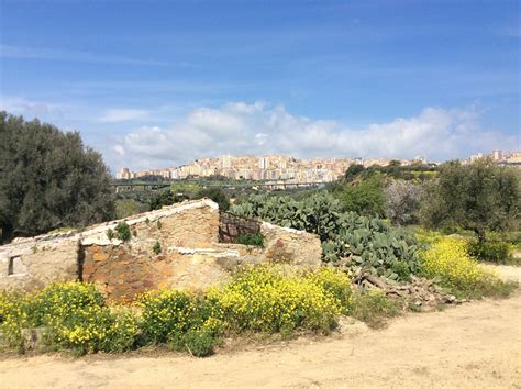 giatdino di prada sicilia|Giardino della Kolymbetra .